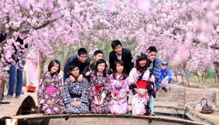 Sống và học tập tại Nhật Bản